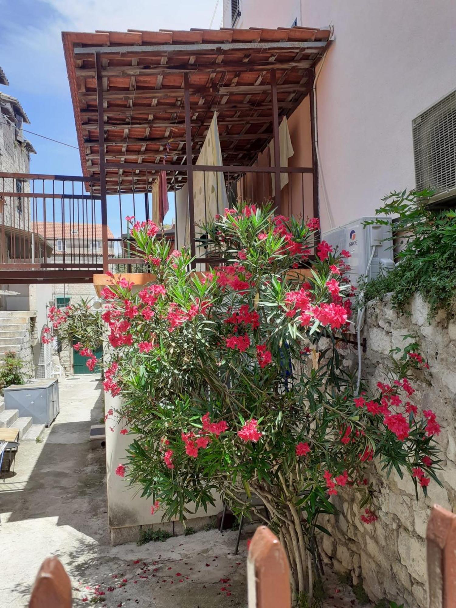 Oleander Apartments Split Exterior photo